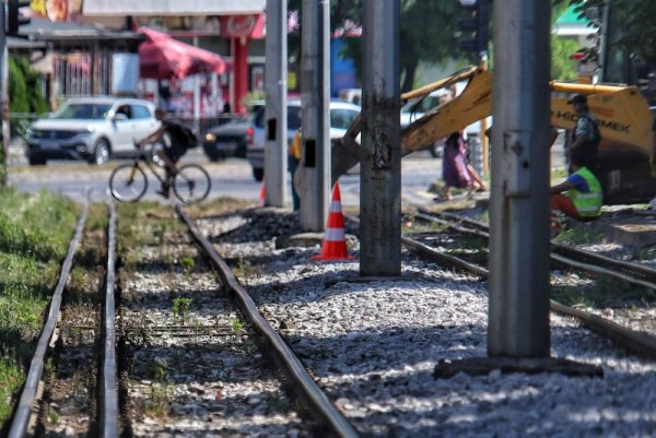 Снимка: Димитър Кьосемарлиев, Dnes.bg