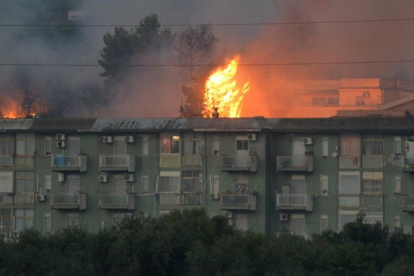 Палермо. Снимка: БГНЕС
