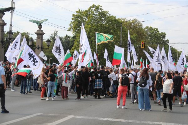 Снимка: Димитър Кьосемарлиев, Dnes.bg