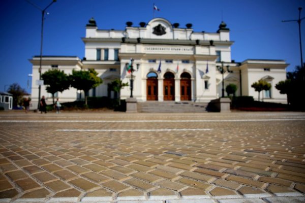 Снимка: БГНЕС