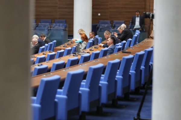 Снимка: Димитър Кьосемарлиев, Dnes.bg
