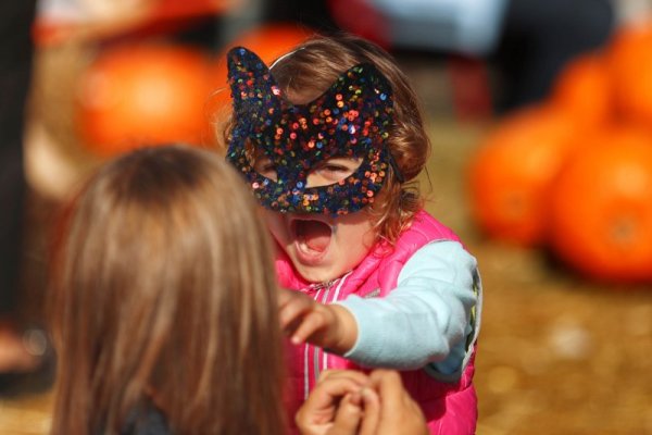 Снимка: Димитър Кьосемарлиев