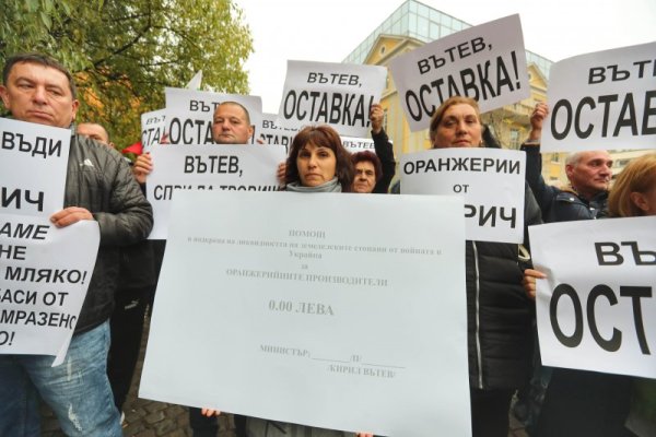 Снимка: Димитър Кьосемарлиев, Dnes.bg