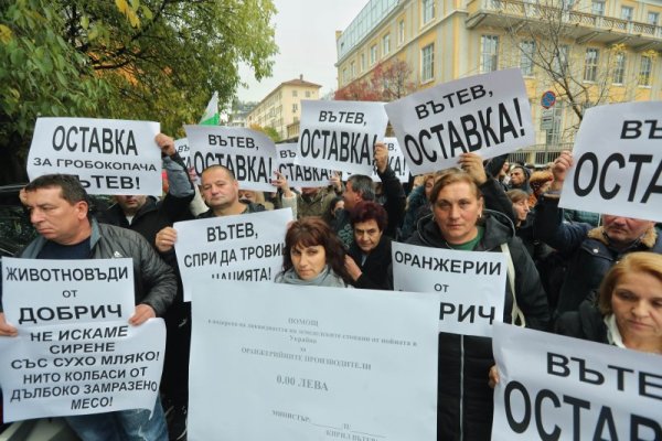 Снимка: Димитър Кьосемарлиев, Dnes.bg