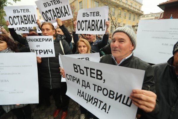 Снимка: Димитър Кьосемарлиев, Dnes.bg