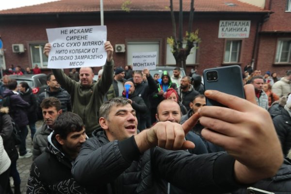 Снимка: Димитър Кьосемарлиев, Dnes.bg