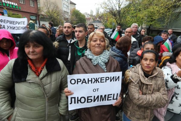 Снимка: Димитър Кьосемарлиев, Dnes.bg