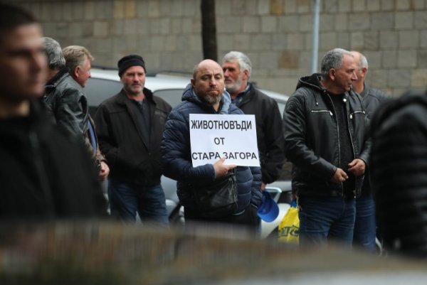 Снимка: Димитър Кьосемарлиев, Dnes.bg