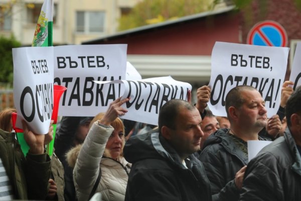 Снимка: Димитър Кьосемарлиев, Dnes.bg