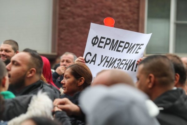 Снимка: Димитър Кьосемарлиев, Dnes.bg