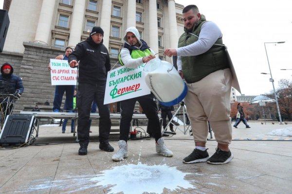 Снимка: Димитър Кьосемарлиев, Dnes.bg