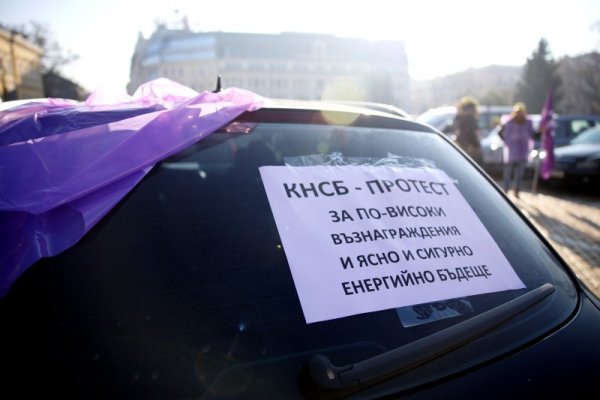 Снимка: БГНЕС