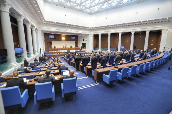 Снимка: Димитър Кьосемарлиев, Dnes.bg