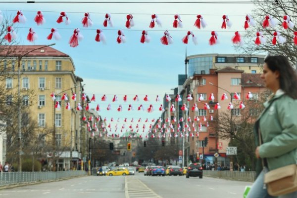 Снимка: Димитър Кьосемарлиев, Dnes.bg