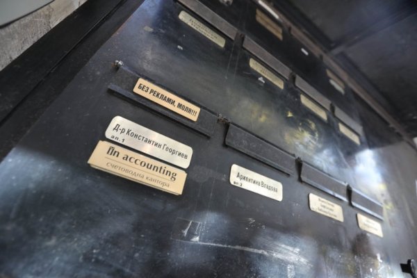 Снимка: Димитър Кьосемарлиев, Dnes.bg