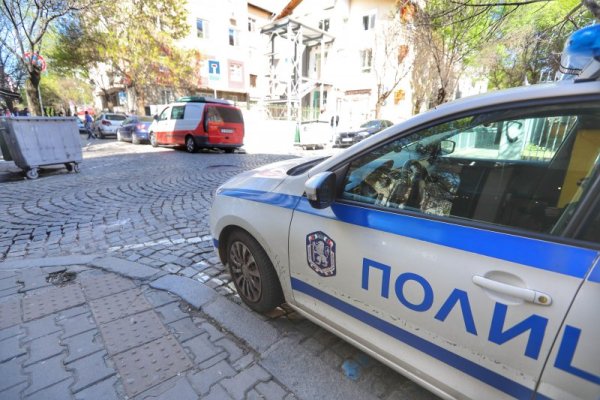 Снимка: Димитър Кьосемарлиев, Dnes.bg