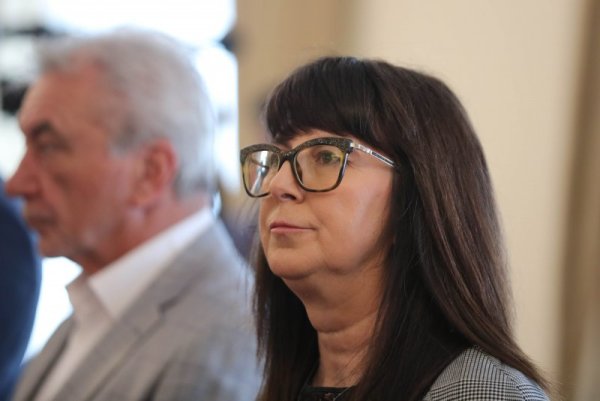 Снимка: Димитър Кьосемарлиев, Dnes.bg