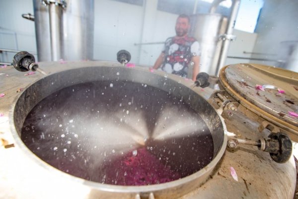 Снимка: Димитър Кьосемарлиев/ Dnes.bg