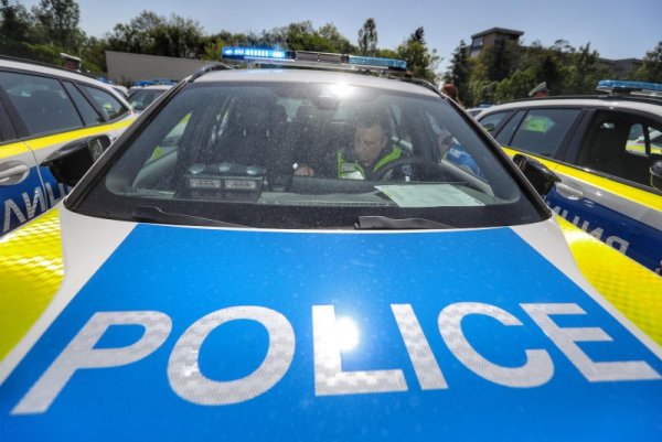 Снимка: Димитър Кьосемарлиев, Dnes.bg