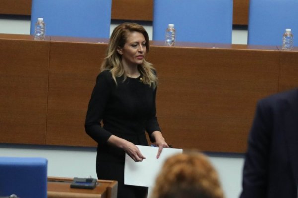 Снимка: Димитър Кьосемарлиев/Dnes.bg