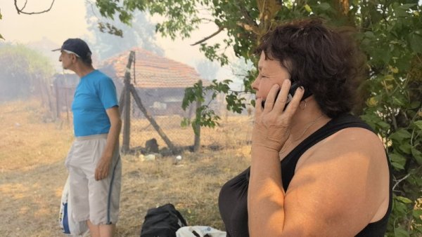 Снимка: БГНЕС