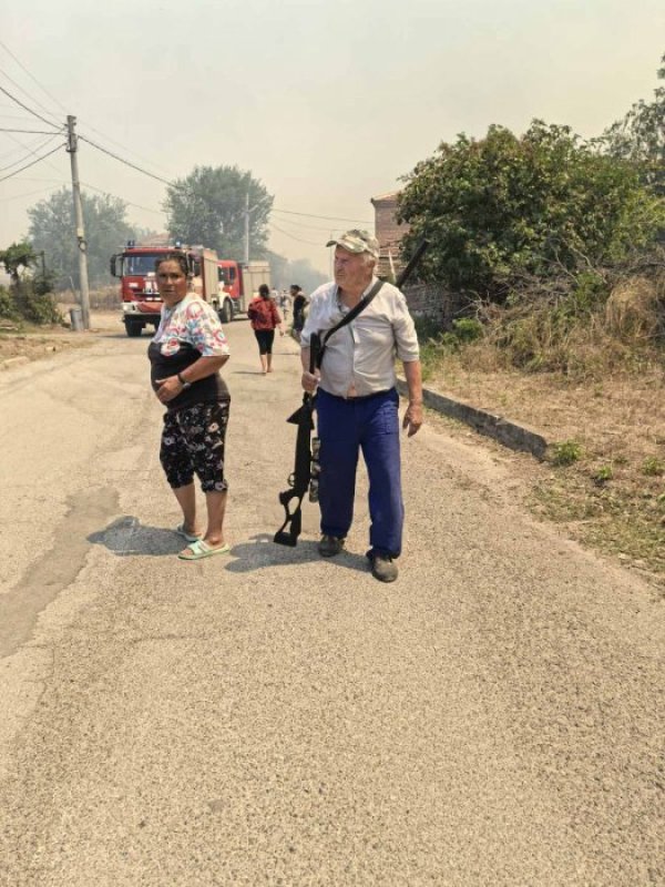 Снимка: БГНЕС