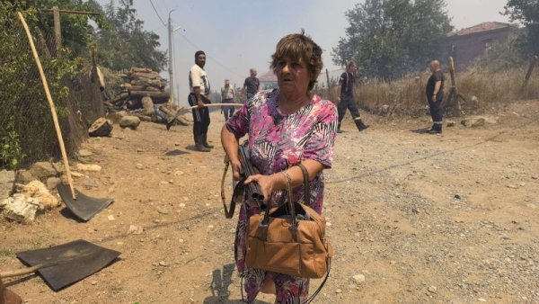 Снимка: БГНЕС