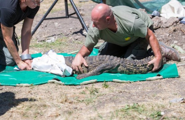Снимка: Димитър Кьосемарлиев, Dnes.bg