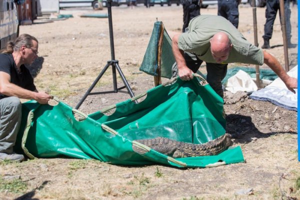 Снимка: Димитър Кьосемарлиев, Dnes.bg