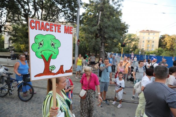 Снимка: Димитър Кьосемарлиев