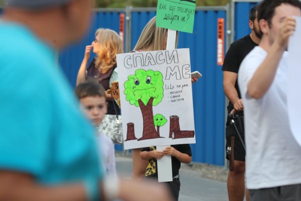 Снимка: Димитър Кьосемарлиев