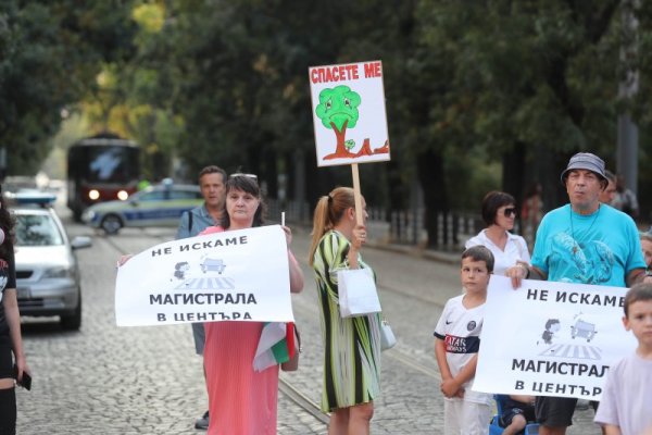 Снимка: Димитър Кьосемарлиев