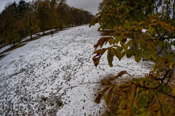 Снимка: Димитър Кьосемарлиев, Dnes.bg