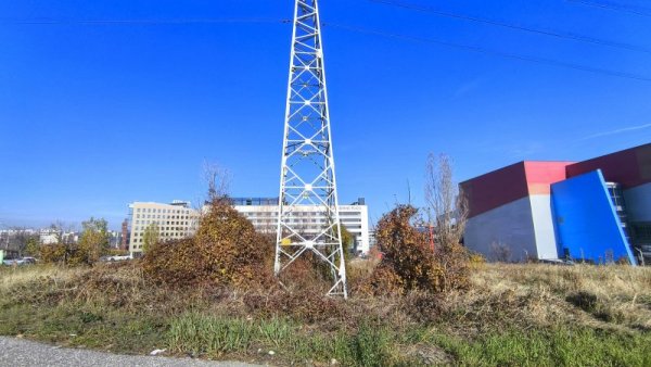 Снимка: Димитър Кьосемарлиев, Dnes.bg
