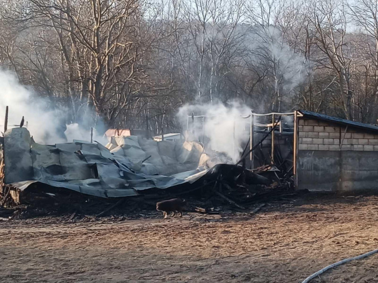 Пожар Фанагория