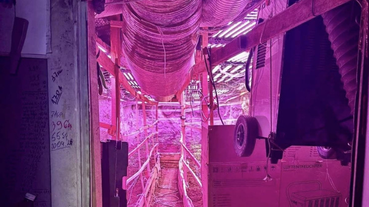 Разкриха наркооранжерия