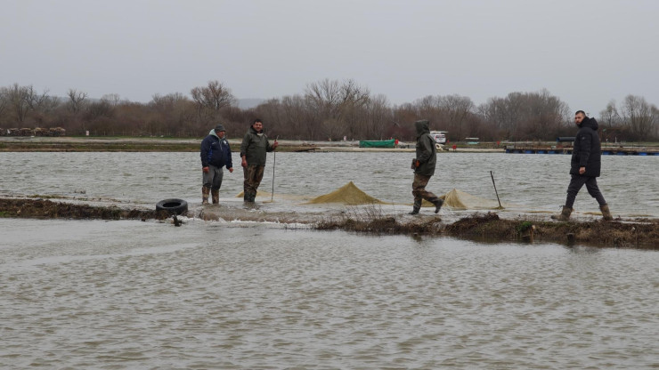 Тунджа излезе