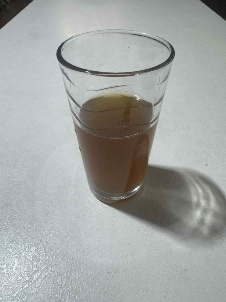 плевен